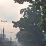 Kabut-asap-selimut-Kota-Pekanbaru-(Dok.-Riau-Aktual)
