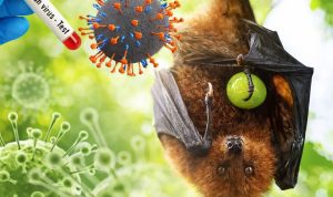 Ilustrasi-Virus-Nipah-(Dok.-BRIN)