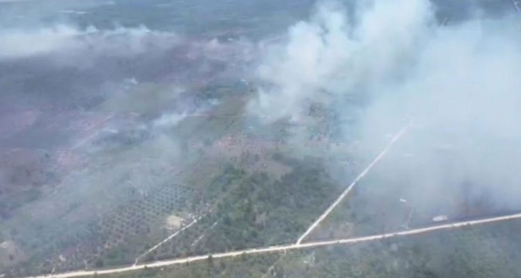 Ratusan-Hektar-Lahan-Terbakar-di-Dumai.-(Dok.-Riau-Aktual)