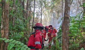 Empat-Regu-Manggala-Agni-Dikerahkan-untuk-Tuntaskan-Karhutla-di-Bengkalis-(Dok.-Riau-Media-Center)