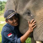 Harmoni-di-Tanah-Balai-Raja,-Saat-Sang-Gajah-dan-Manusia-Berbagi-Ruang-Kehidupan-(Dok.-PHR)