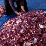 Ilustrasi-Daging-Kurban-(Dok.-Antara)