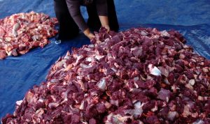 Ilustrasi-Daging-Kurban-(Dok.-Antara)