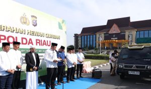 Pendistribusian-hewan-kurban-untuk-warga-dari-Polda-Riau.-(Dok.-Riau-Aktual)