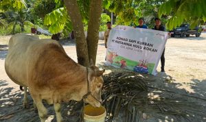 Penyerahan-hewan-kurban-berupa-sapi-kepada-pengurus-salah-satu-masjid-di-area-Petapahan-Kotabatak,-Kecamatan-Tapung,-Kampar.(Dok.-PHR)