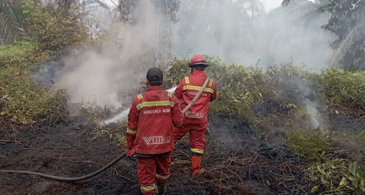 Tim-Manggala-Agni-fokus-padamkan-karhutla-(Dok.-Riau-Media-Center)