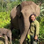 Anak-gajah-sumatera-lahir-di-kawasan-konservasi-Taman-Nasional-Tesso-Nilo-(TNTN),-Kabupaten-Pelalawan,-Riau.-(Dok.-Riau-Aktual)