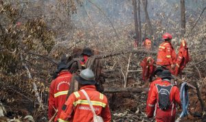 Banyaknya-batang-kayu-tumbang-di-jalur-menuju-lokasi-kebakaran-menghambat-mobilitas-personel.-(Dok.-Riau-Aktual)