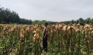 IMG_20260615_122635