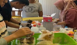 Pengobatan-Hewan-Gratis-Jadi-Daya-Tarik-HUT-ke-242-Pekanbaru-di-Bukit-Raya,-Lebih-300-Hewan-Terdaftar-(Dok.-Cakaplah)