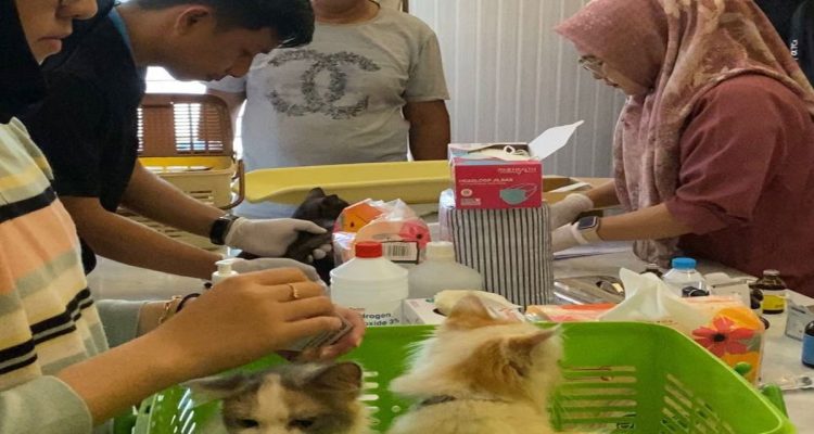 Pengobatan-Hewan-Gratis-Jadi-Daya-Tarik-HUT-ke-242-Pekanbaru-di-Bukit-Raya,-Lebih-300-Hewan-Terdaftar-(Dok.-Cakaplah)