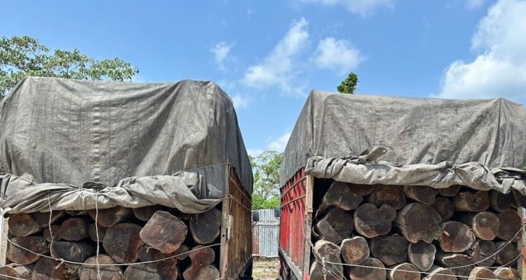 Polisi-Gagalkan-Penyelundupan-Kayu-Ilegal.-(Dok.-Riau-Aktual)