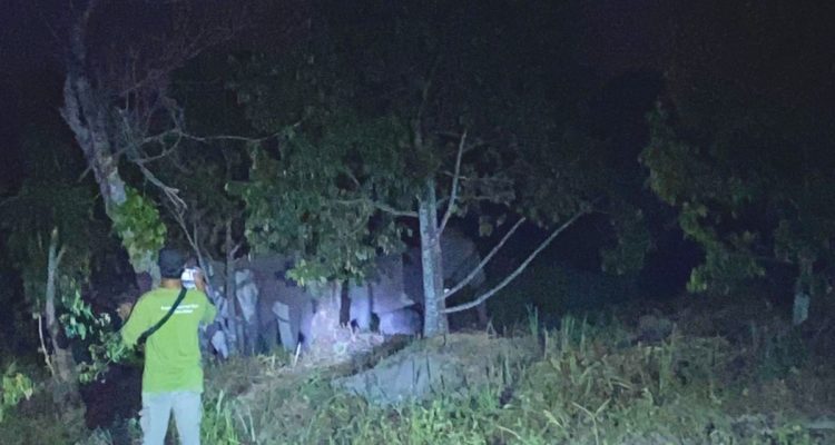 Seekor-gajah-liar-membuat-warga-Kelurahan-Muara-Fajar,-Kecamatan-Rumbai,-Kota-Pekanbaru-(Dok.-Riau-AKtual)