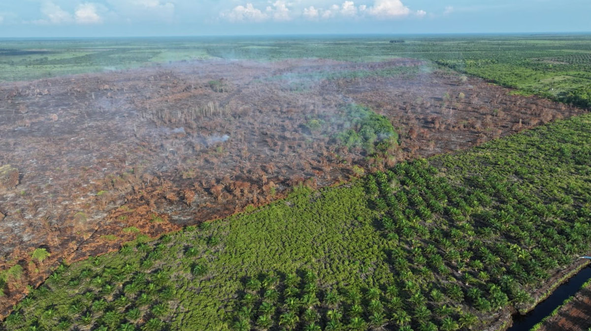 Asap-Karhutla-Pematang-Pudu-Mulai-Hilang,-Manggala-Agni-Lanjutkan-Mopping-Up-(Dok.-Riau-Aktual)