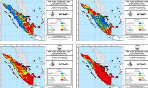 FFMC-BMKG-Prediksi-Risiko-Karhutla-di-Sumatera-Tinggi,-Manggala-Agni-Ingatkan-Warga-Tak-Bakar-Lahan-(Dok.-Riau-Aktual)