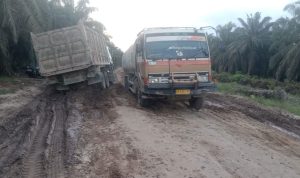 Jalan-Penghubung-Rohul–Bengkalis-di-Bonai-Darusalam-Lumpuh,-Pemprov-Riau-Diminta-Turun-Tangan-(Dok.-Riau-Aktual)