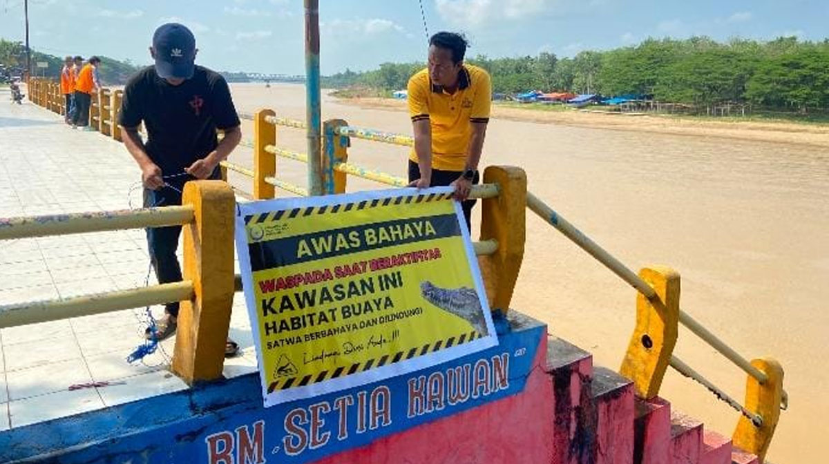 Jelang-Pacu-Jalur,-polisi-peringatkan-warga-waspada-buaya-di-Sungai-Kuantan-Hilir.-(Dok.-Riau-Aktual)