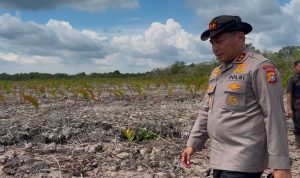 Kapolda-Riau-Irjen-Pol-Herry-Heryawan-saat-meninjau-langsung-lokasi-dugaan-perusakan-hutan-mangrove-di-Kabupaten-Rokan-Hilir-(Dok.-Riau-Aktual)