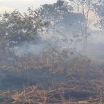 Karhutla-Bengkalis-belum-terkendali,-80-hektare-lahan-hangus-terbakar.-(Dok.-Riau-Aktual)