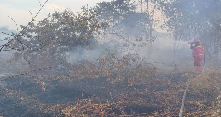 Karhutla-Bengkalis-belum-terkendali,-80-hektare-lahan-hangus-terbakar.-(Dok.-Riau-Aktual)