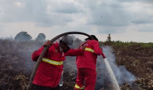 Karhutla-Rohul-dan-Inhu-Tuntas,-Manggala-Agni-Lanjutkan-Pendinginan-di-Pematang-Pudu-Bengkalis-(Dok.-Riau-Media-Center)