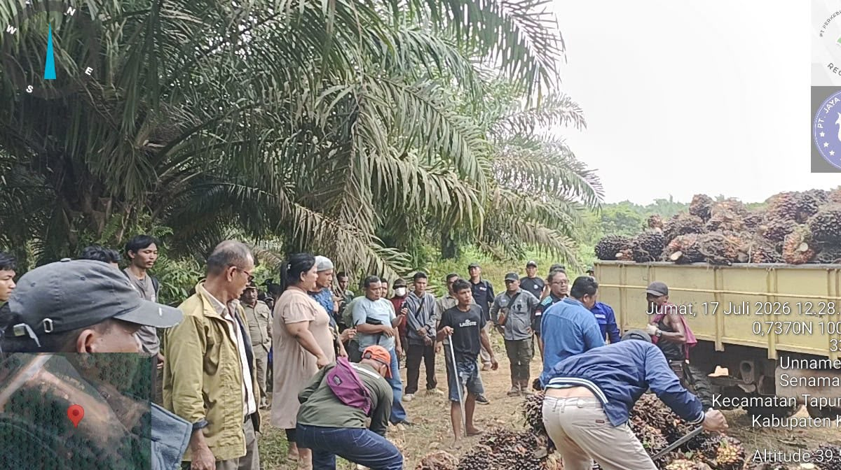 Manajemen,-tim-pengamanan,-dan-karyawan-Kebun-Sei-Berlian-PTPN-IV-Regional-III-saat-berhadapan-dengan-oknum-pelaku-panen-liar-di-Kebun-Sei-Berlian.-(Dok.-Riau-Aktual)