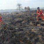 Manggala-Agni-Padamkan-2-Hektare-Karhutla-di-Kubu-Rohil-(Dok.-Riau-Media-Center)