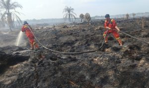 Manggala-Agni-Padamkan-2-Hektare-Karhutla-di-Kubu-Rohil-(Dok.-Riau-Media-Center)
