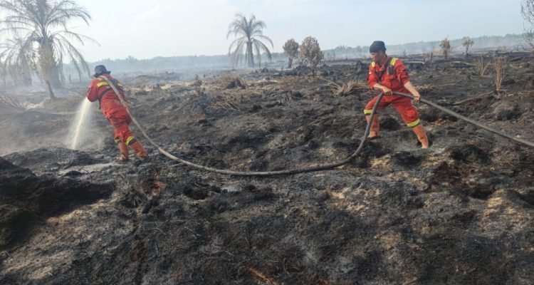 Manggala-Agni-Padamkan-2-Hektare-Karhutla-di-Kubu-Rohil-(Dok.-Riau-Media-Center)