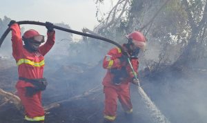 Personel-Manggala-Agni-Daops-Dumai-bersama-tim-gabungan-terus-berupaya-mengendalikan-kobaran-api.-(Dok.-Riau-Aktual)