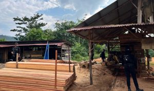 Polda-Riau-bongkar-sawmill-ilegal-di-Kampar.-(Dok.-Riau-Aktual)