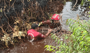 Sumber-Air-Kian-Surut,-Manggala-Agni-Rela-Kuras-Lumpur-Kanal-Cacing-demi-Padamkan-Karhutla-(Dok.-Riau-Media-Center)