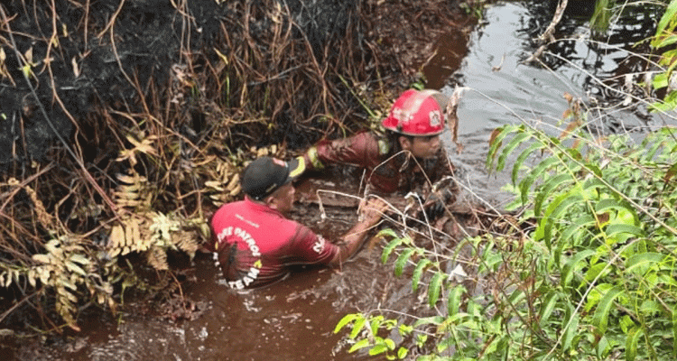 Sumber-Air-Kian-Surut,-Manggala-Agni-Rela-Kuras-Lumpur-Kanal-Cacing-demi-Padamkan-Karhutla-(Dok.-Riau-Media-Center)