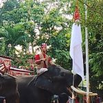 Belalai-Gajah-Budi-dan-Valenti-Kibarkan-Merah-Putih-di-Kasang-Kulim-Zoo-(Dok.-Riau-Media-Center)