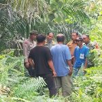 Heboh-Harimau-Muncul-di-Pasir-Putih-Kampar,-BBKSDA-Riau-Pastikan-Hoaks-(Dok.-Riau-Aktual)