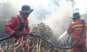 Karhutla-di-Kerumutan,-Kabupaten-Pelalawan,-Riau-(Dok.-Riau-Media-Center)