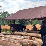 Kayu-Ilegal-di-Kampar-Telah-Diamankan-Polda-Riau-(Dok.-Riau-Aktual)