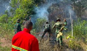 Kebakaran-lahan-di-Batin-Solapan,-Bengkalis,-Riau-(Dok.-Riau-Media-Center)
