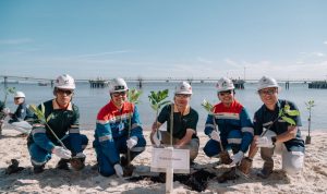 Perkokoh-Benteng-Pesisir-Dumai,-PHR-Tanam-700-Mangrove-Tangani-Krisis-Iklim-dan-Lindungi-Keanekaragaman-Hayati-(Dok.-PHR)