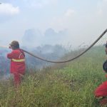 Tim-Manggala-Agni-memadamkan-kebakaran-lahan-di-Indragiri-hulu-(Dok.-Riau-Aktual)