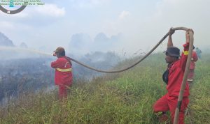Tim-Manggala-Agni-memadamkan-kebakaran-lahan-di-Indragiri-hulu-(Dok.-Riau-Aktual)