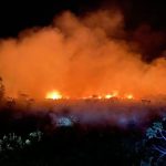 Total-Karhutla-di-Riau-Capai-16-Ribu-Hektare-(Dok.-Riau-Aktual)
