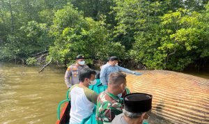 KKP-Kirim-Sampel-Bangkai-Paus-di-Inhil-ke-BRIN-(Dok.-Riau-Media-Center)