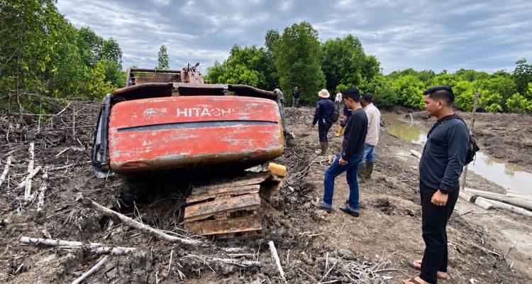 Perusak-111-Hektare-Hutan-Mangrove-di-Dumai-Ditangkap-Polda-Riau-(Dok.-Riau-Aktual)