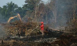 Seorang-manggala-Agni-tengah-memadamkan-karhutla-(Dok.-Riau-Media-Center)
