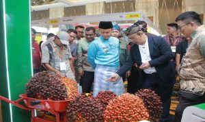 Wali-Kota-Pekanbaru,-Agung-Nugroho-meninjau-pameran-hasil-buah-sawit-beberapa-waktu-lalu.-(Dok.-Riau-Aktual)