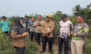 Bupati-Siak-Jawab-Tiga-Pertanyaan-Presiden-Soal-Solusi-Karhutla-(Dok.-Riau-Media-Center)