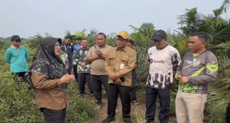 Bupati-Siak-Jawab-Tiga-Pertanyaan-Presiden-Soal-Solusi-Karhutla-(Dok.-Riau-Media-Center)