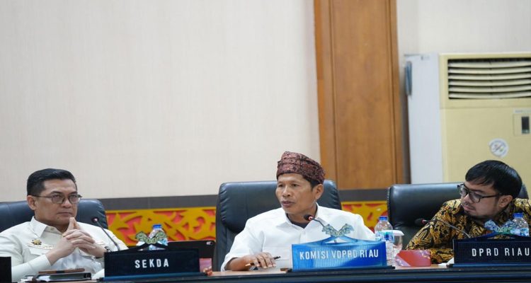 DPRD-Riau-Tekankan-Pemerataan-Rumah-Sakit-dan-Kolaborasi-Pemerintah-Swasta-(Dok.-Riau-Media-Center)