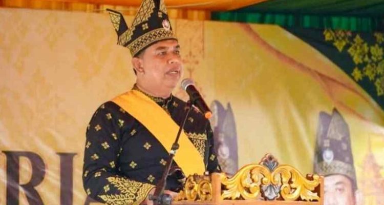 Ketua-Umum-Dewan-Pimpinan-Harian-(DPH)-LAMR-Kepulauan-Meranti-Datuk-Seri-Afrizal-Cik-(Dok.-Riau-Aktual)